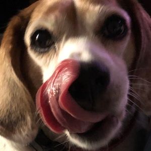 Meet your Posher, Caden